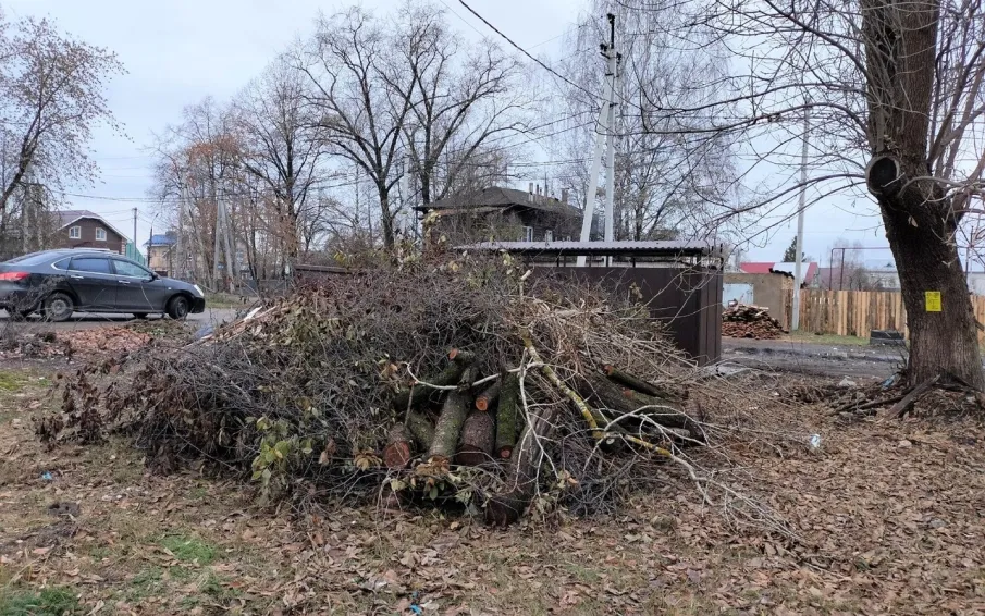 Можно ли выбрасывать листву, ветки, остатки зелени после уборки клумб и грядок в контейнеры на контейнерную площадку?